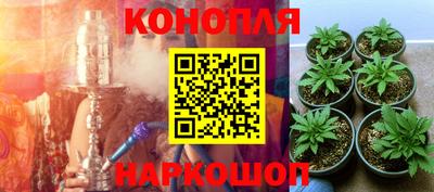 apvp Краснознаменск