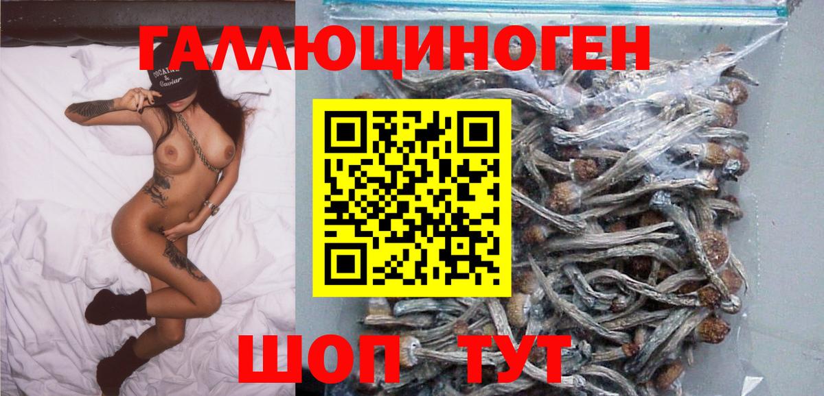 Галлюциногенные грибы мухоморы Киров