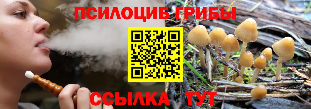 Киров  Галлюциногенные грибы Psilocybe  Вход с VPN 